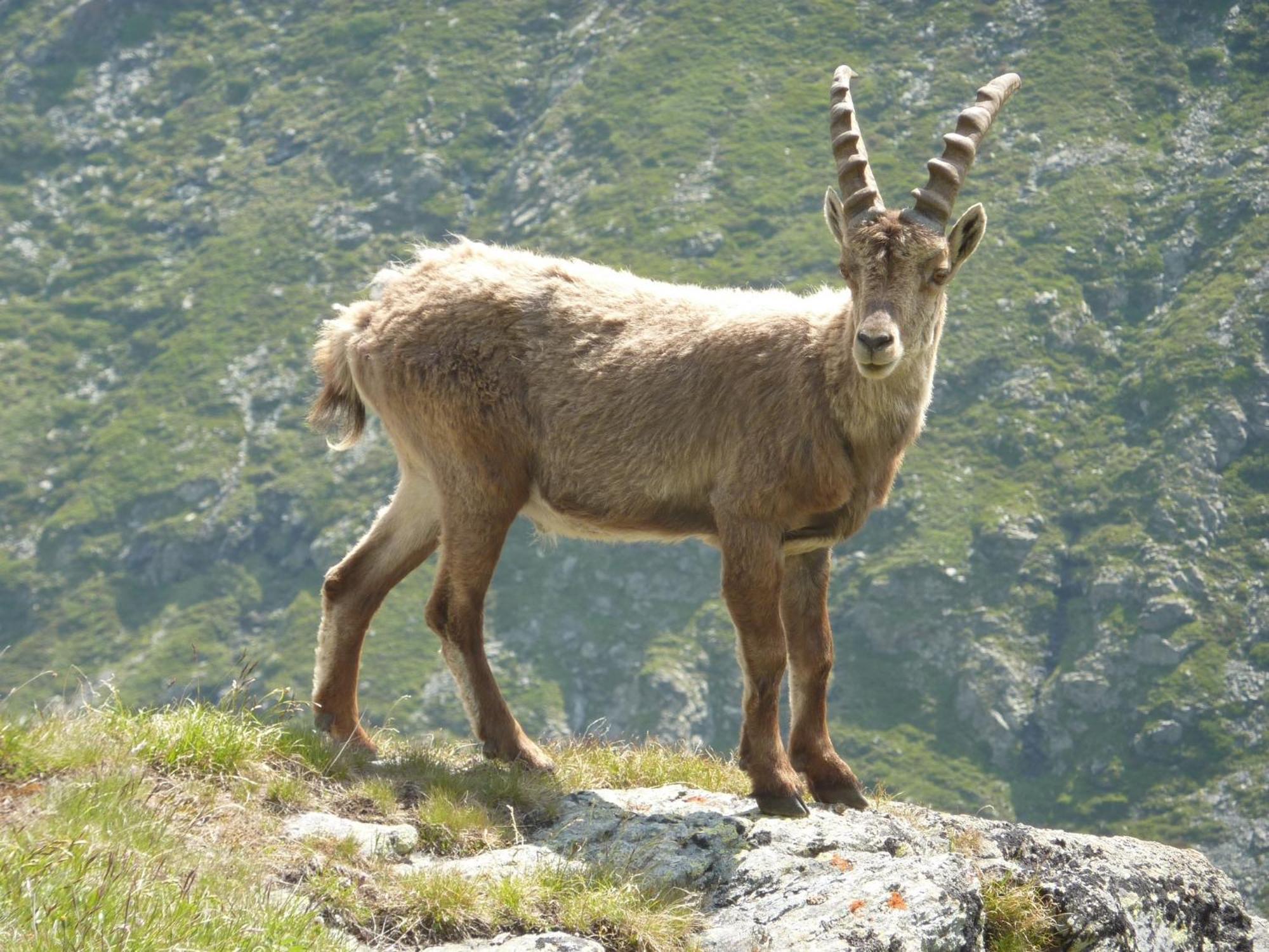 Les Glieres - Champagny-En-Vanoise La Plagne Eksteriør billede
